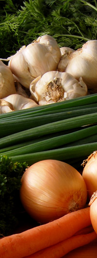 Schmerzbehandlung